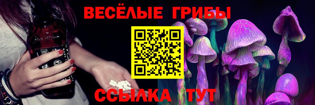 Псилоцибиновые грибы GOLDEN TEACHER Тобольск